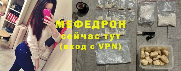 индика Володарск